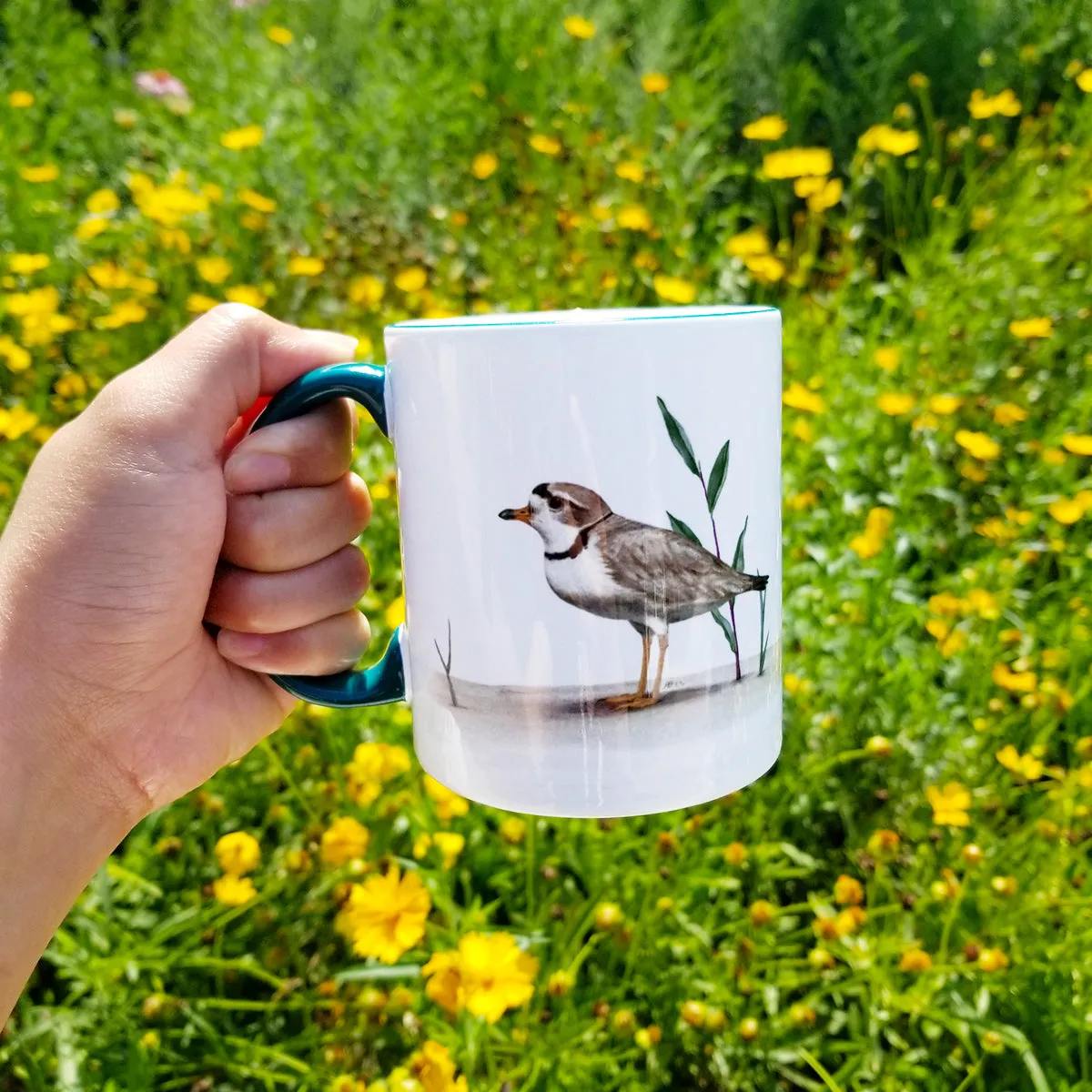 Piping Plover Mug