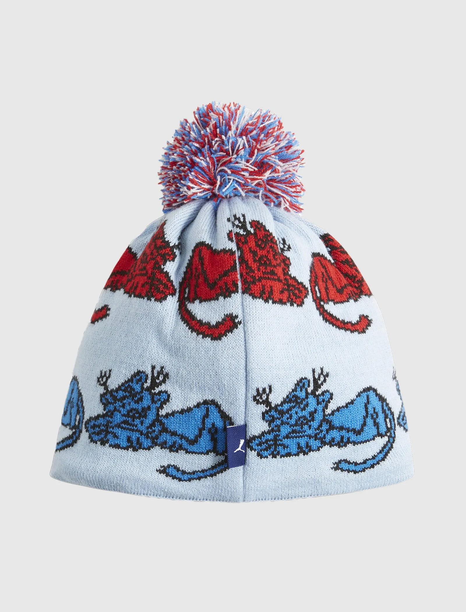 PUMA NOAH SKI BEANIE   BLUE