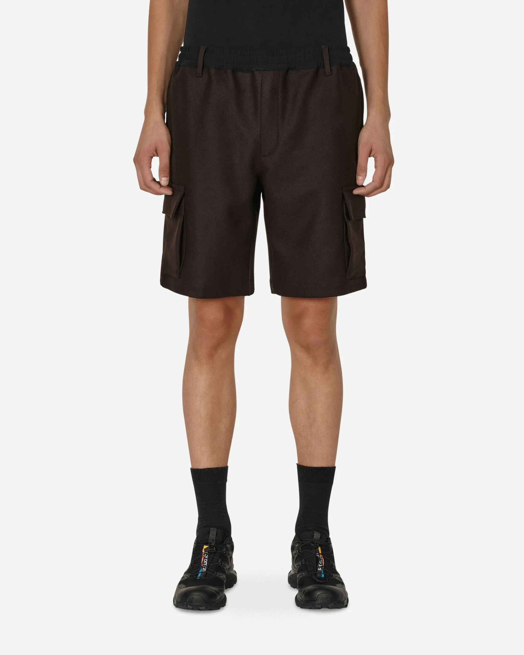 Salomon Panno Utility Shorts Brown