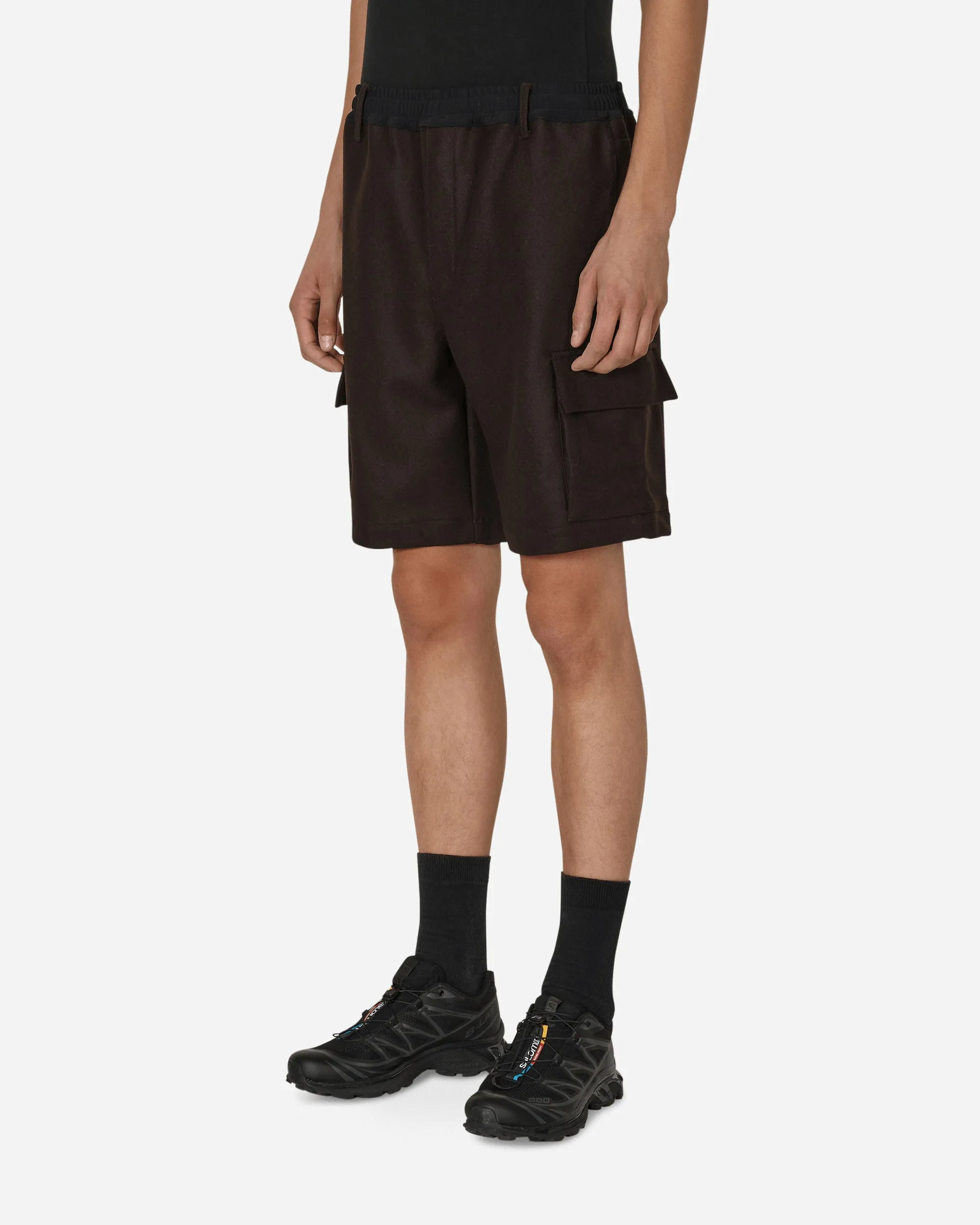 Salomon Panno Utility Shorts Brown