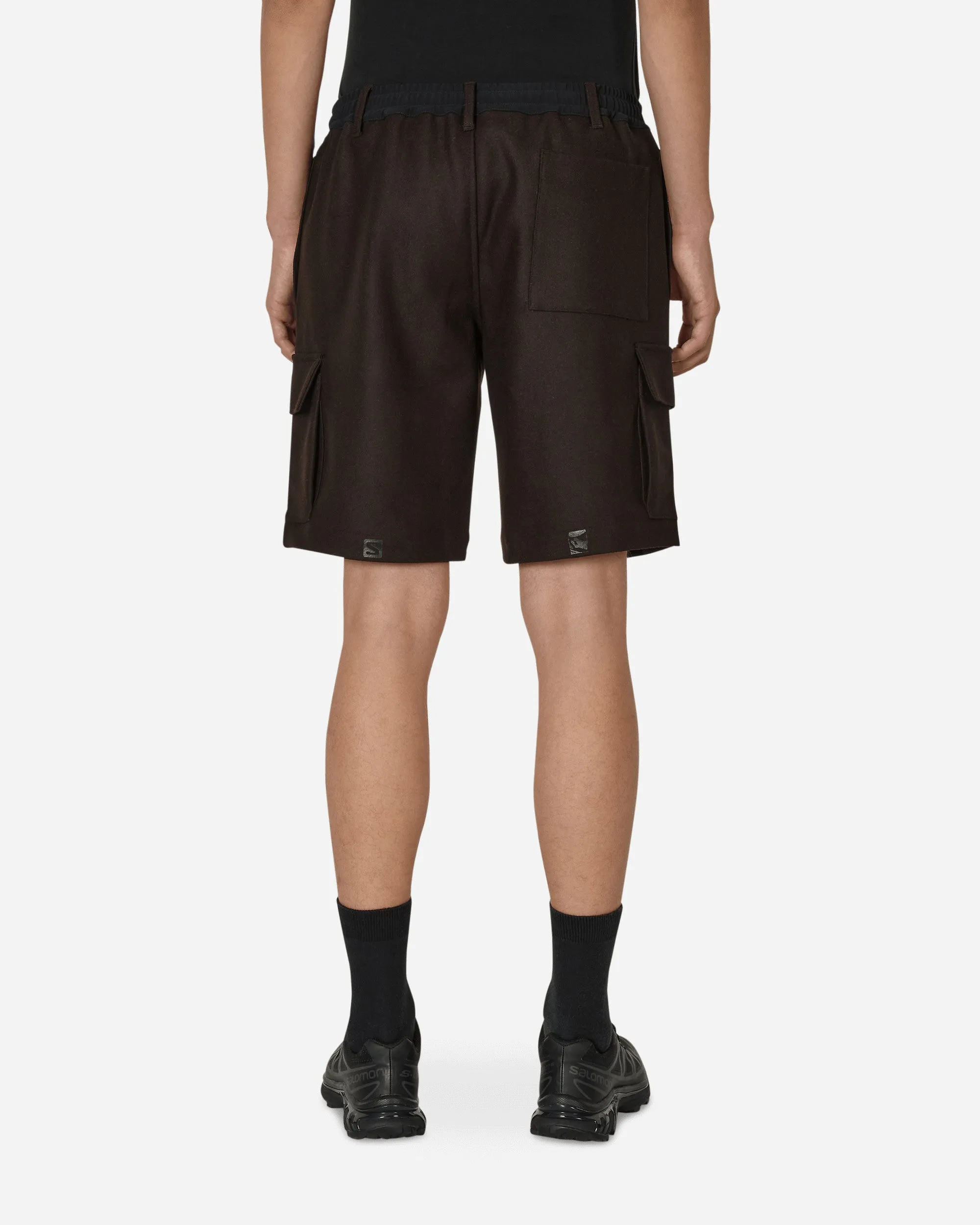 Salomon Panno Utility Shorts Brown