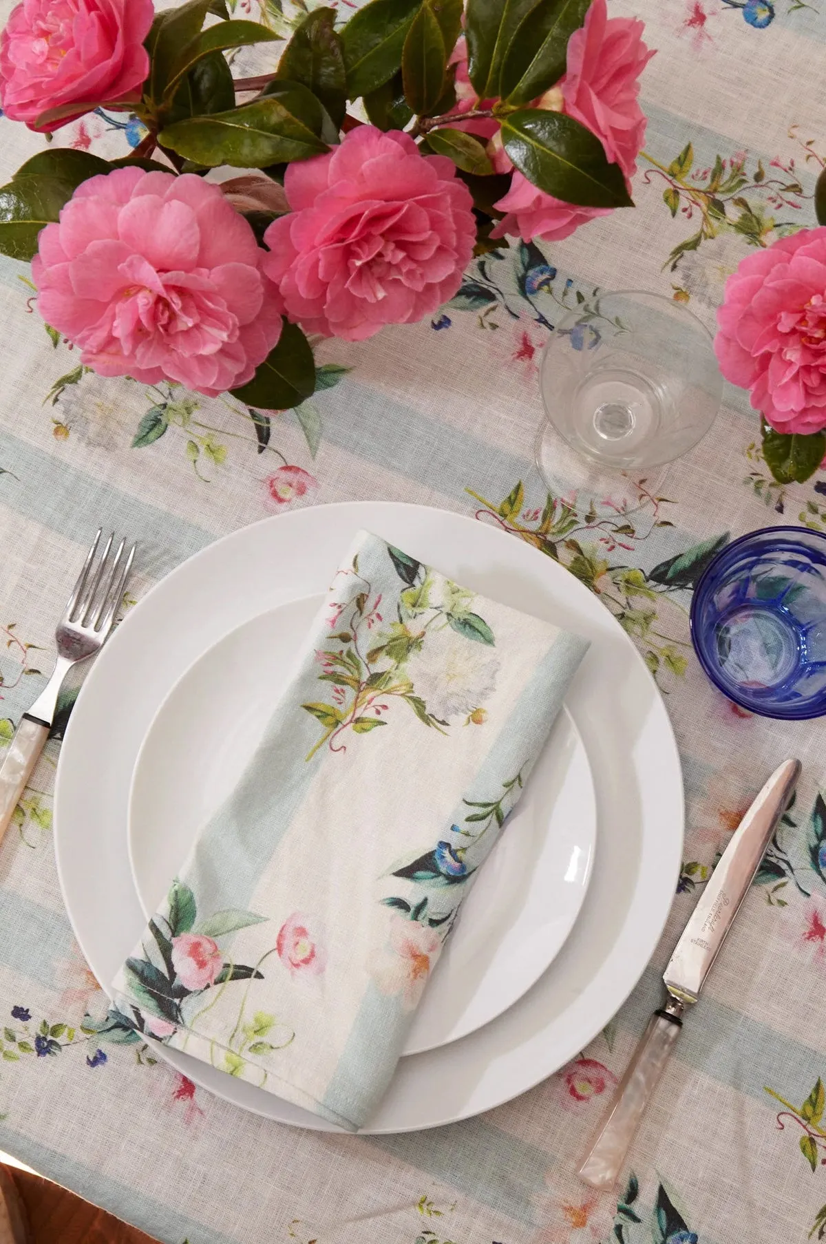 Set of 2 Flora Stripe Napkins