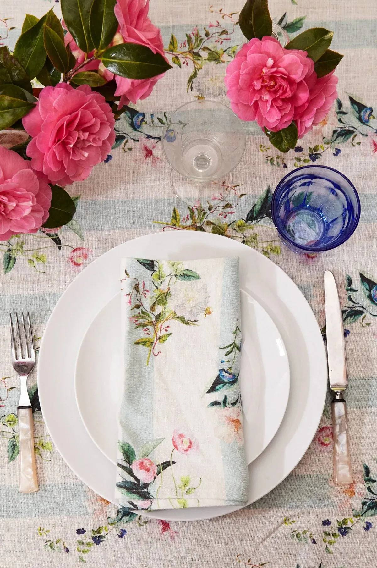 Set of 2 Flora Stripe Napkins